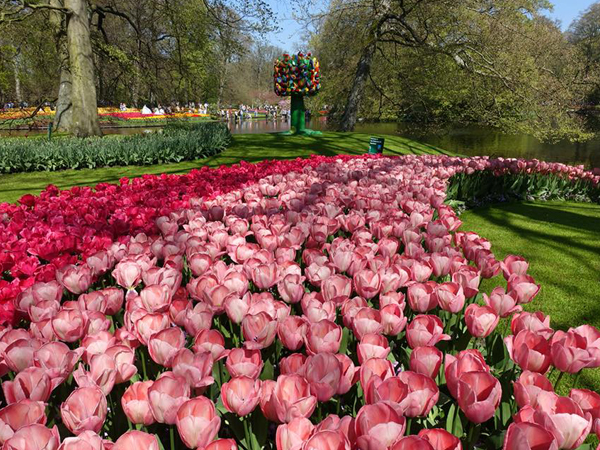 From one of our adoptees(Subject Image)