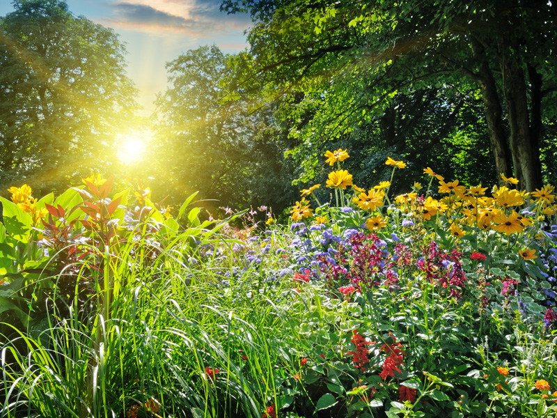 Healing Happens in Every Step We Take(Subject Image)